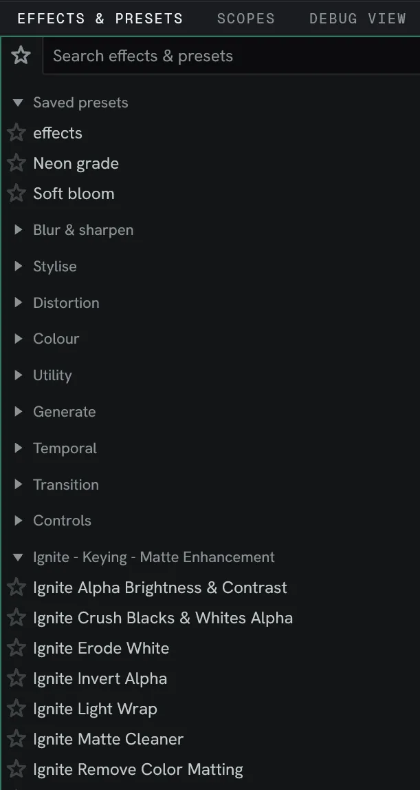 A plugin's own heading in the Effects & presets panel, under the built-in categories.